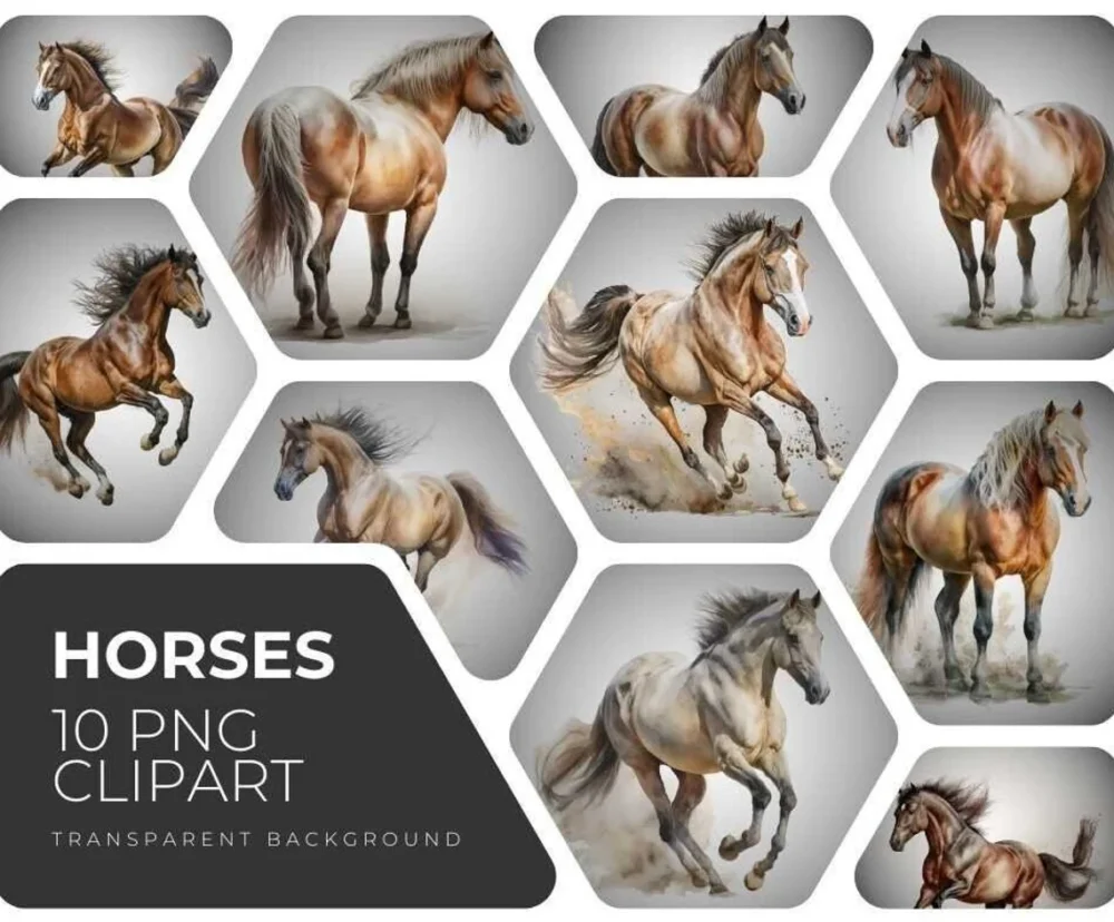 Horses Clipart Bundle, Watercolor Horse Clipart, Digital Art, Clipart for commercial use, Transparent PNGs,  Paper crafts, Scrapbook.
