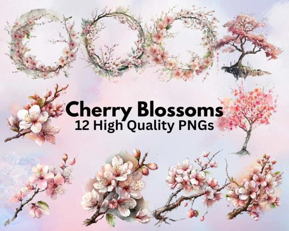Cherry Blossom Watercolor Clipart Bundle, Pink Spring Flower, Summer Clipart,  Wedding Clipart, Watercolor PNG, Wedding Card, Sakura Clipart