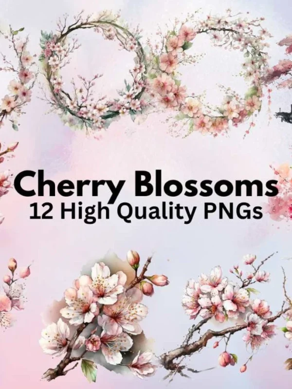 Cherry Blossom Watercolor Clipart Bundle, Pink Spring Flower, Summer Clipart,  Wedding Clipart, Watercolor PNG, Wedding Card, Sakura Clipart