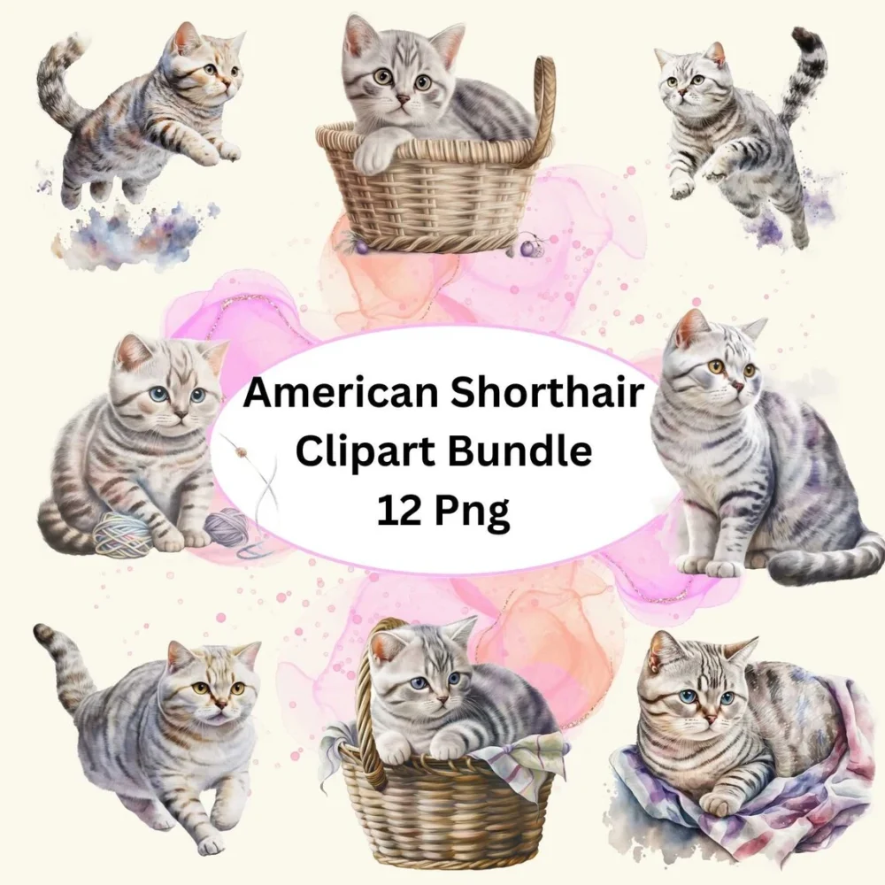 Beautiful American Shorthair Cat Watercolor Clipart, 12 PNG Bundle, Card Making, Digital Download, Nursery Cat Clipart, Cat Wall Art.