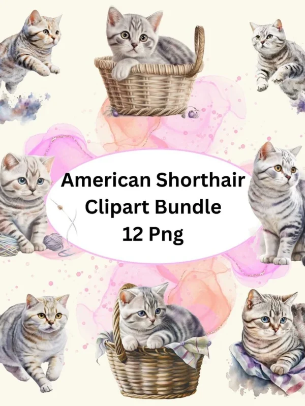 Beautiful American Shorthair Cat Watercolor Clipart, 12 PNG Bundle, Card Making, Digital Download, Nursery Cat Clipart, Cat Wall Art.