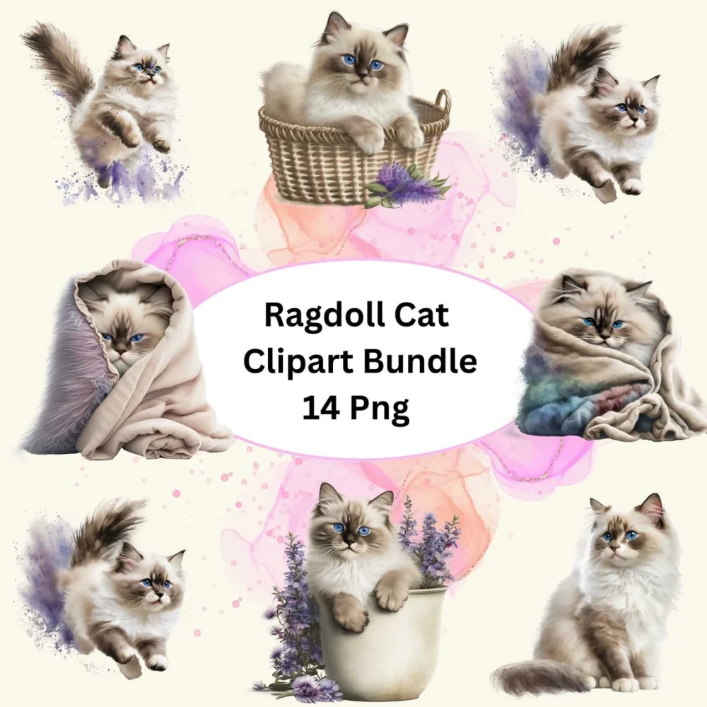 Beautiful Ragdoll Cat Watercolor Clipart, 14 PNG Bundle, Card Making, Clip Art, Digital Download, Nursery Ragdoll Cat Clipart, Cat Wall Art.