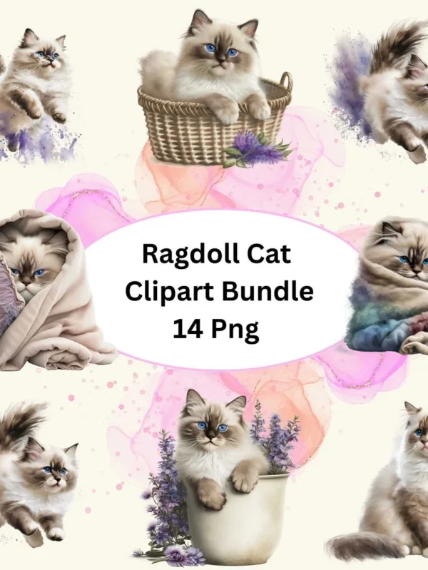 Beautiful Ragdoll Cat Watercolor Clipart, 14 PNG Bundle, Card Making, Clip Art, Digital Download, Nursery Ragdoll Cat Clipart, Cat Wall Art.