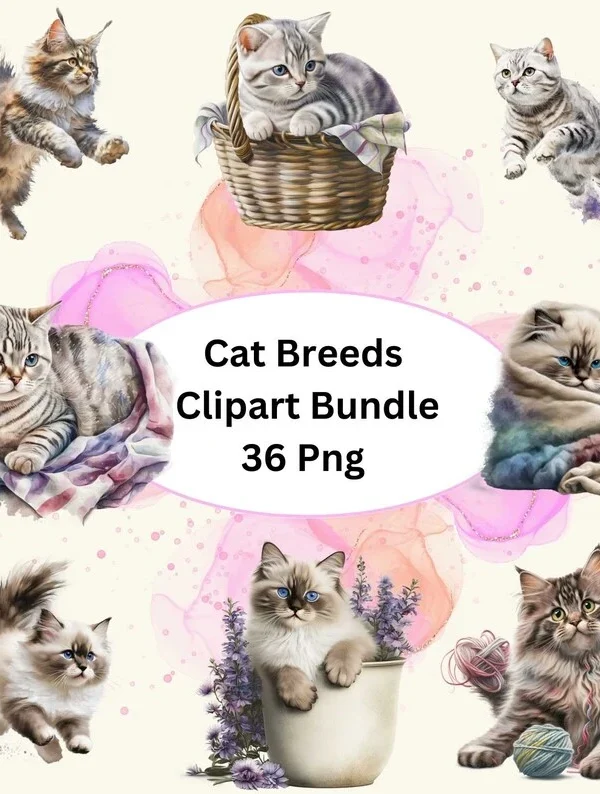 Beautiful Cat Breed Watercolor Clipart, 36 PNG Bundle, Ragdoll Cat, American Shorthair Cat, Maine Coon Cat, Clip Art, Nursery Cat Clipart.